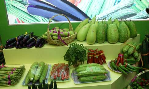 海南禁止在 蔬菜上使用 三唑磷和毒死蜱